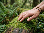 Sustainability